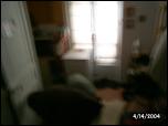 Click on one of the size names above to enlarge this image