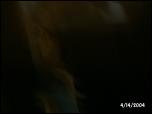 Click on one of the size names above to enlarge this image